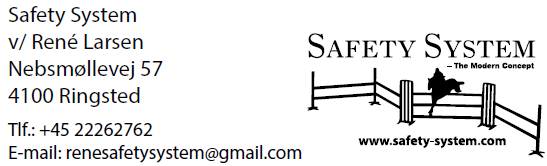 Safety System v/René Larsen