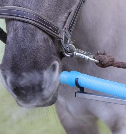 saltwater inhalation (OxygenConcept)