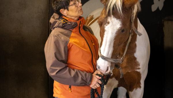 Can you handle the challenges in your horse management?